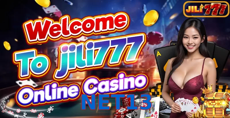 NET13