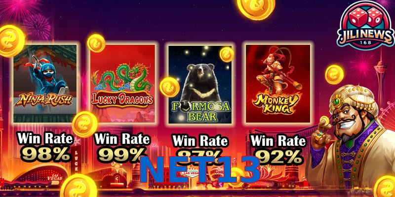 NET13