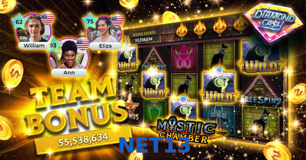 NET13