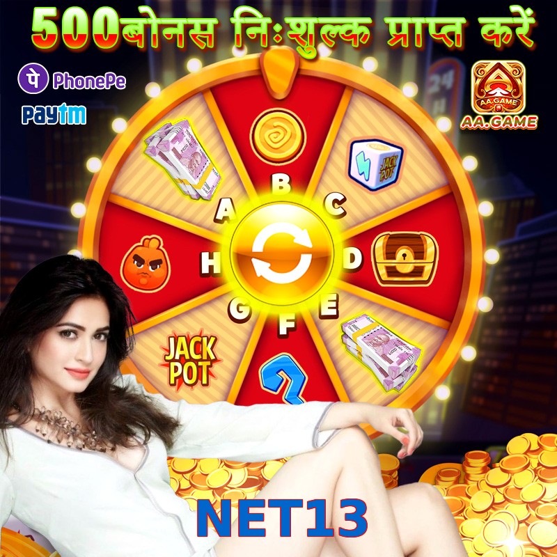 NET13