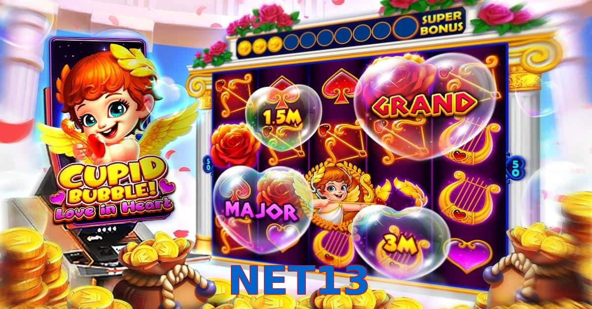 NET13