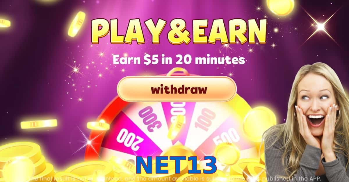 NET13