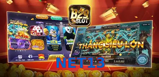 NET13