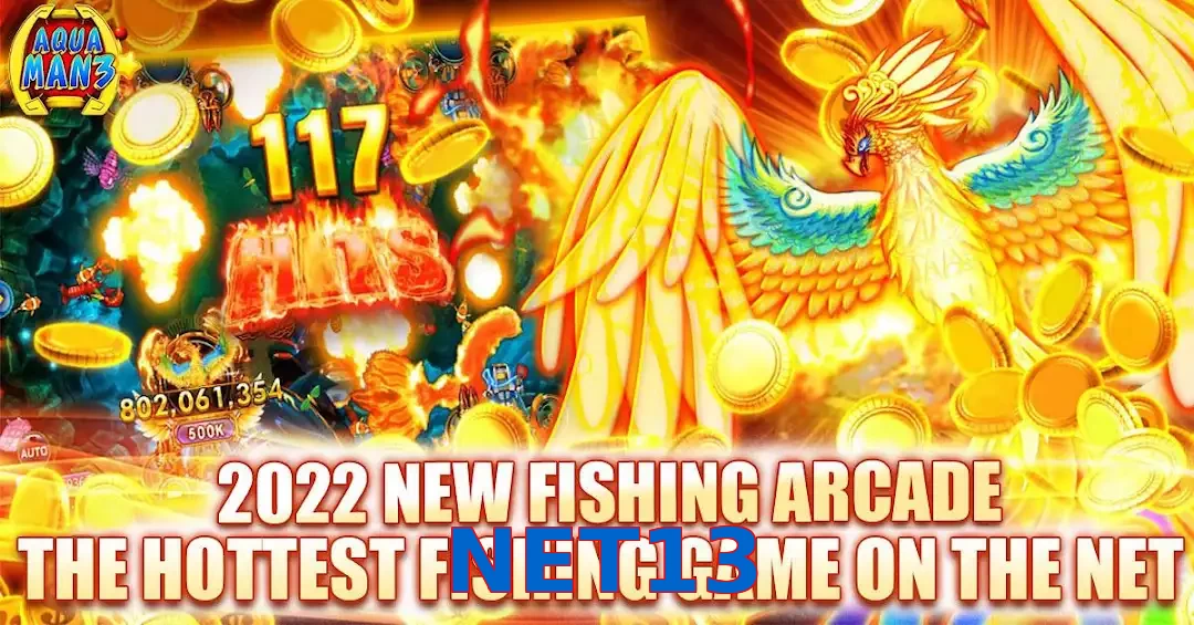 NET13