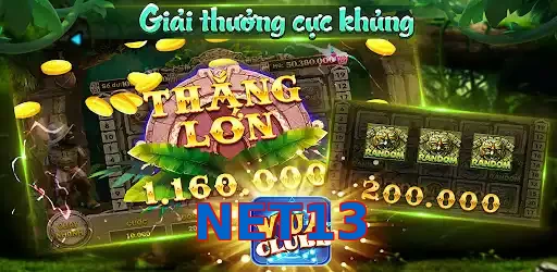 NET13