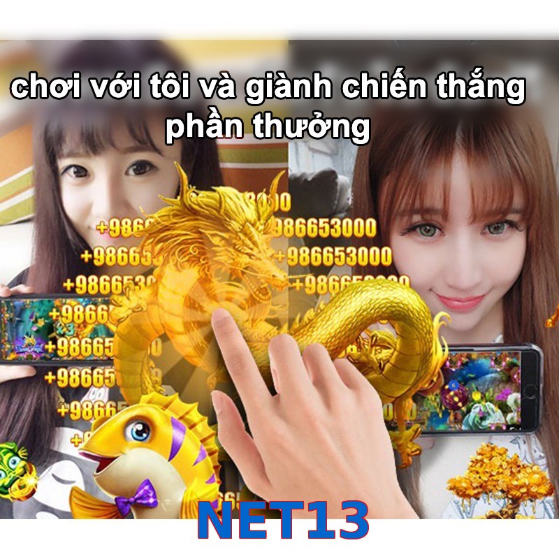 NET13